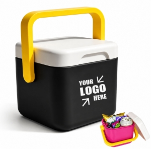 16oz Mini Custom Plastic Cooler Box